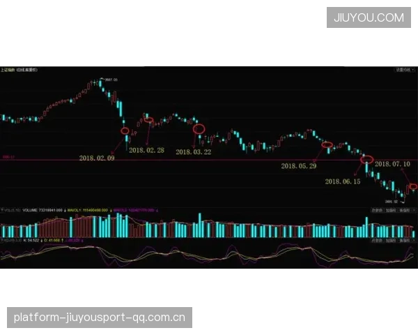 克内克特等新星：从“筹码”到“价值”——如何在市场中抢占未来